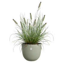 sereh round 30cm verde scandinavo